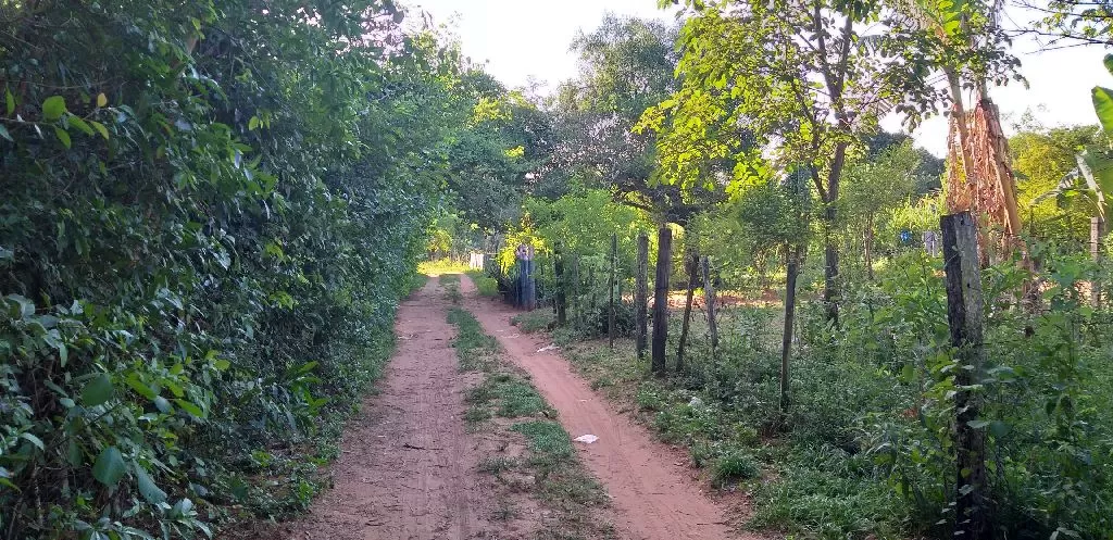 Vendo este terreno — foto 2