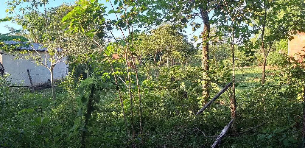 Vendo este terreno — foto 3