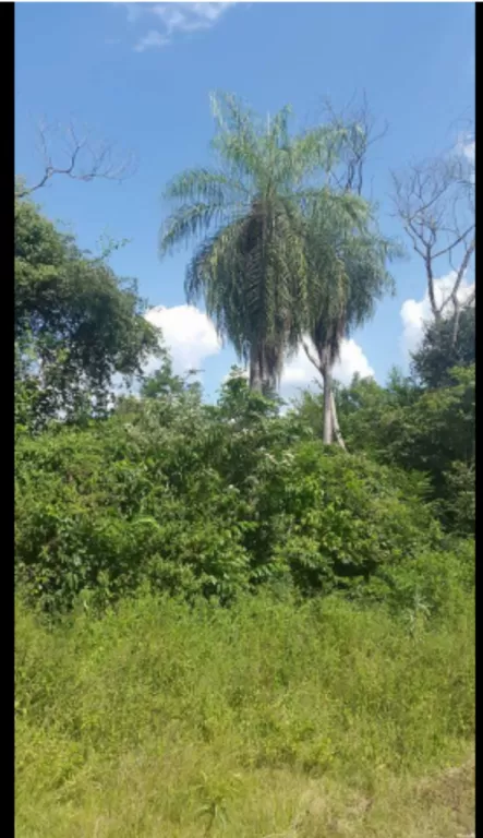 Vendo Terreno — foto 2