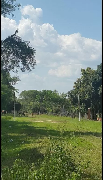 Vendo Terreno — foto 3