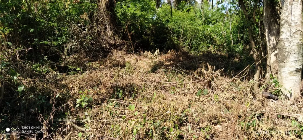 VENDO TERRENO CERCA DE LA PLAYA MBOI KAE — foto 3