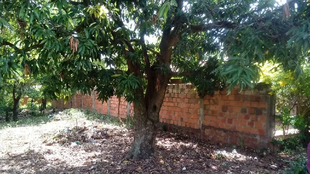 terreno venta — foto 2