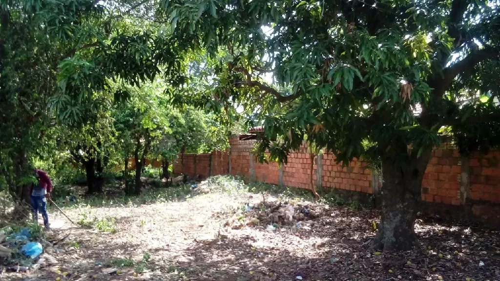 terreno venta — foto 3