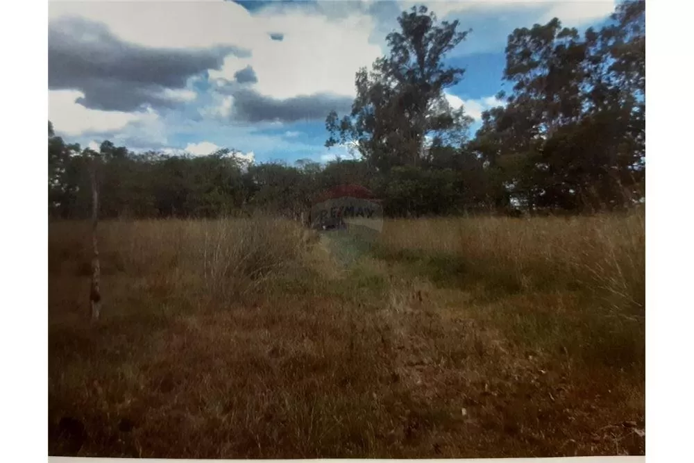 58 HECTÁREAS a 10 km del centro de LUQUE! — foto 3