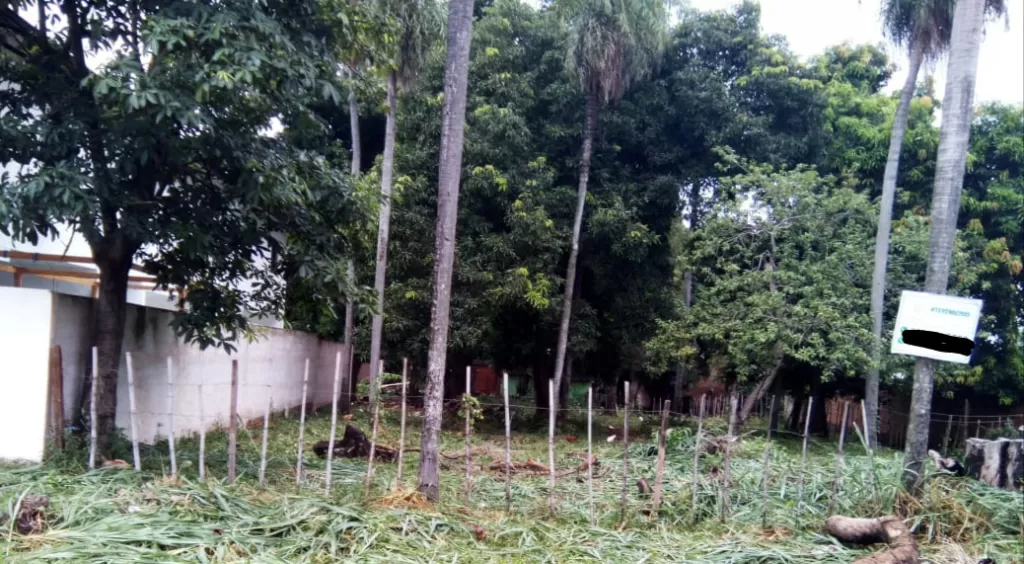 Terreno en la ciudad de San Antonio — foto 2