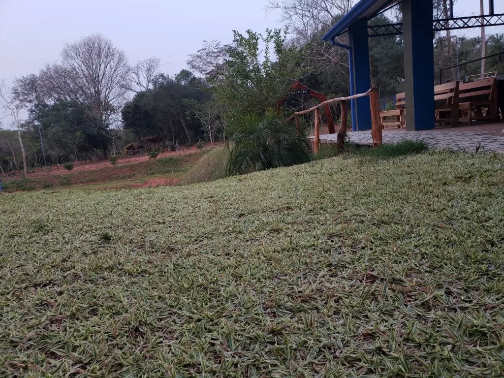 C323-HAMMURABI VENDE HERMOSO TERRENO EN PIRAYÚ — foto 2