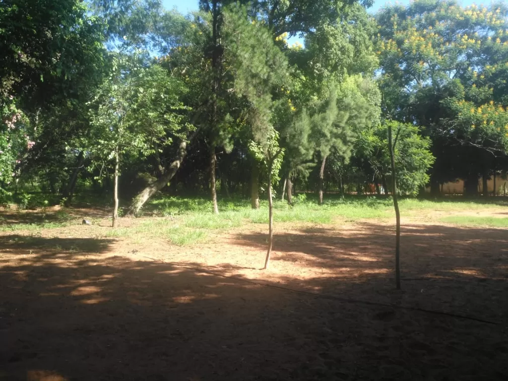 OPORTUNIDAD EN LUQUE: 2 HECTÁREAS SOBRE ASFALTO – (MARAMBURÉ) - 370.000 USD. — foto 2