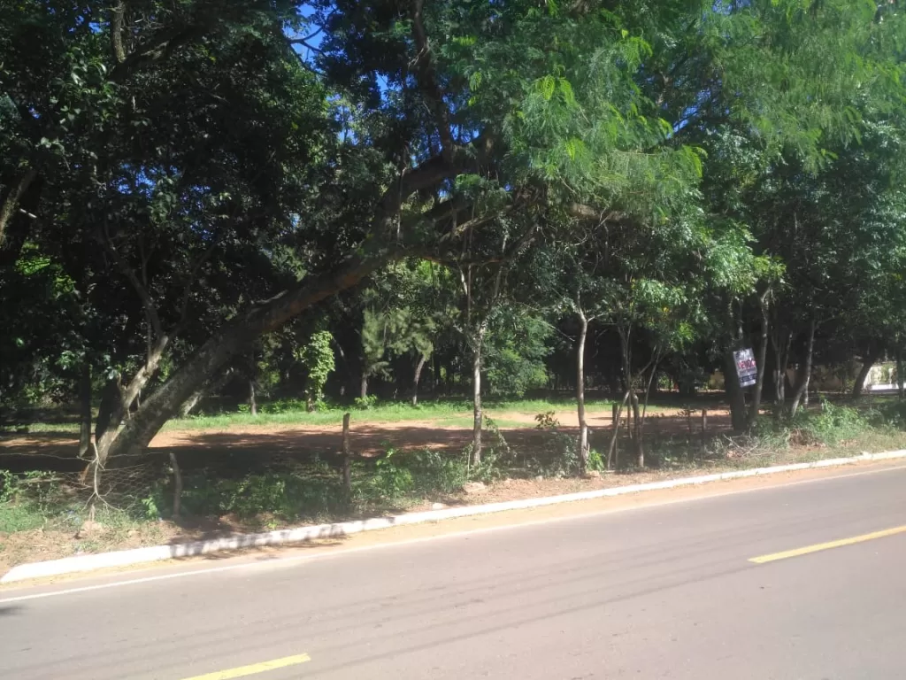 OPORTUNIDAD EN LUQUE: 2 HECTÁREAS SOBRE ASFALTO – (MARAMBURÉ) - 370.000 USD. — foto 3