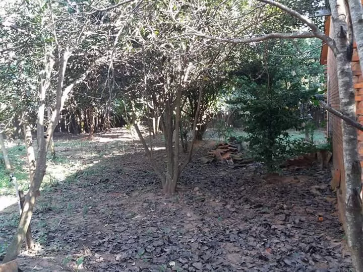 Vendo terreno con una Construccion en Villa del Rosario San Pedro — foto 2