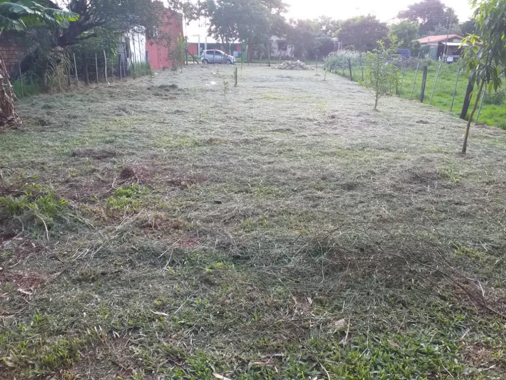 TERRENO EN MORA CUE — foto 3
