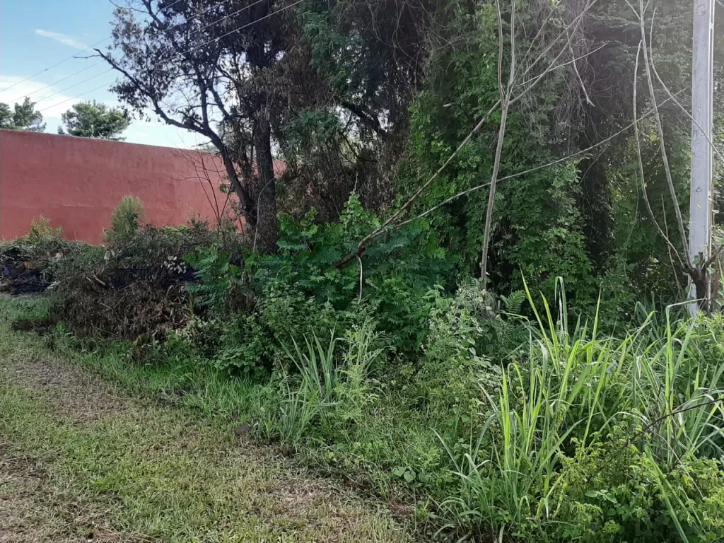 VENDO 2 LOTES EN SAN BERNARDINO - URBANIZACION PUERTA DEL LAGO — foto 2