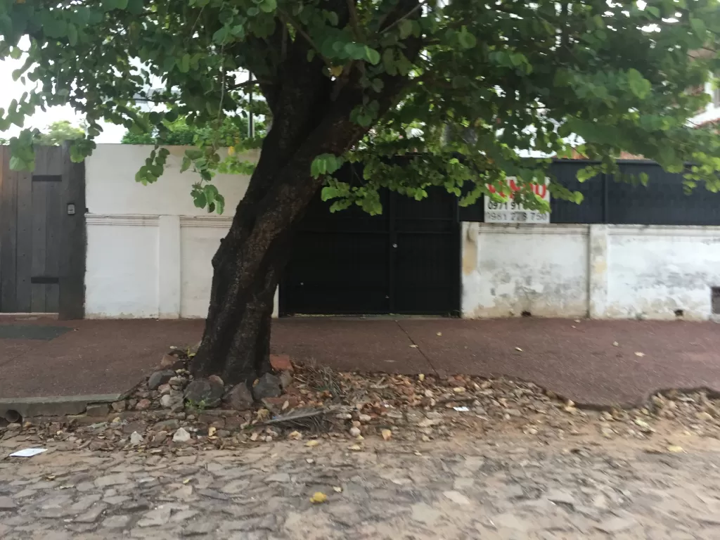 Se vende terreno!!! — foto 2