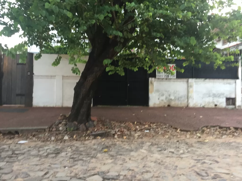 Se vende terreno!!! — foto 3