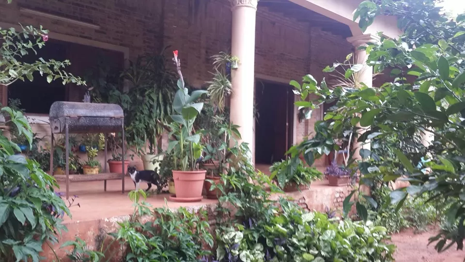 vendo casa en buena zona — foto 2