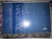 Libro de ANATOMIA HUMANA de ORahilly para ESTUDIANTES DE MEDICINA, ODONTOLOGIA