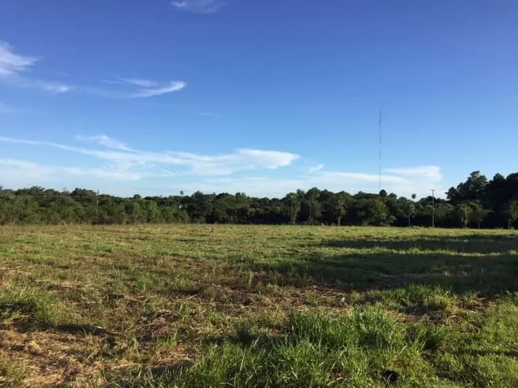 Vendo hermosa propiedad de 2,8 has en Coronel Bogado Itapúa — foto 2