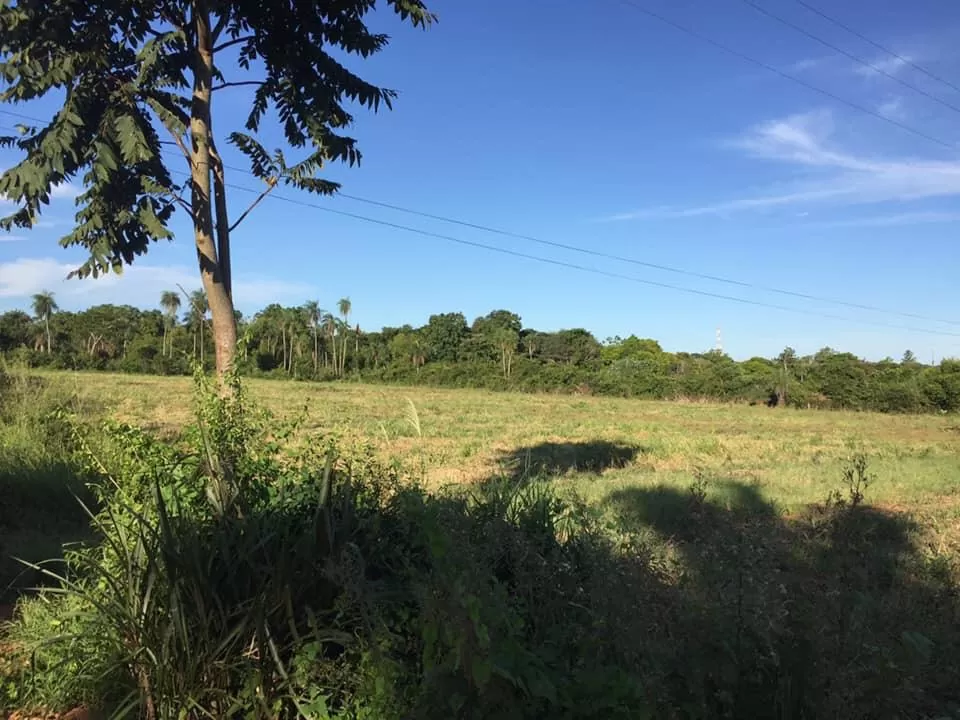 Vendo hermosa propiedad de 2,8 has en Coronel Bogado Itapúa — foto 3