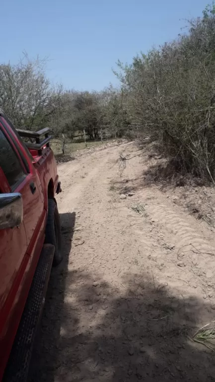 Propietario Vende 127 HECTAREAS EN LA CIUDAD DE PARAGUARI DISTRITO CARAPEGUA — foto 3