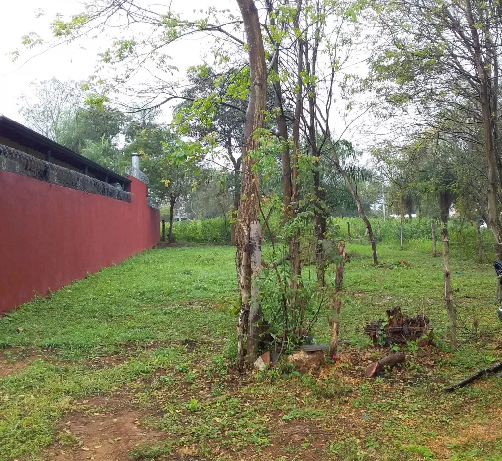 Terreno en Laguna Grande — foto 2