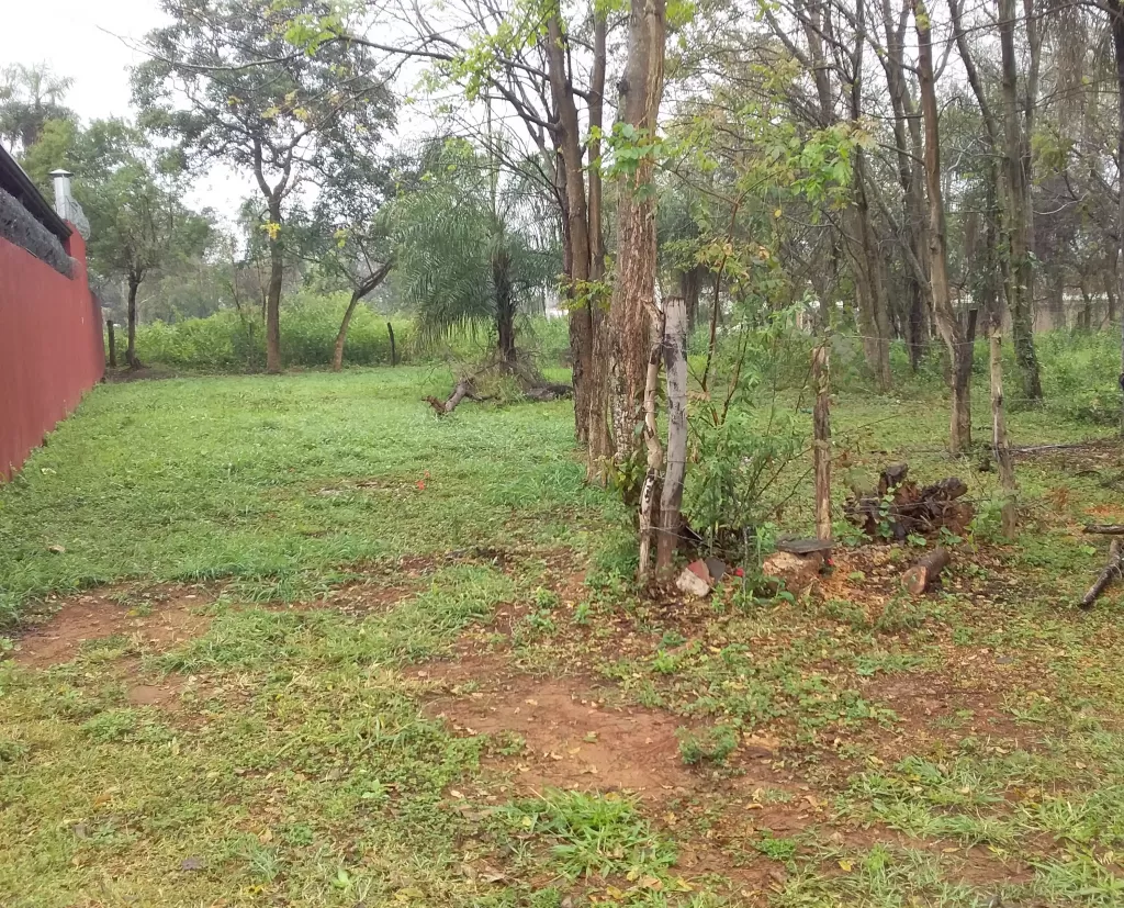 Terreno en Laguna Grande — foto 3