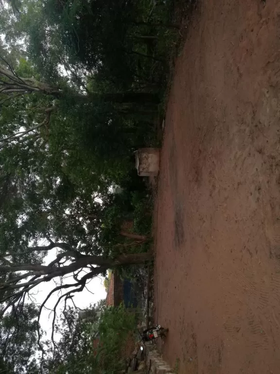 Terreno en villa elisa — foto 2