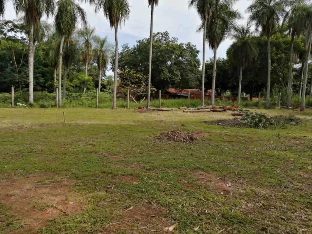 VENDO 8 TERRENOS JUNTOS DE 360 m2. cu — foto 2