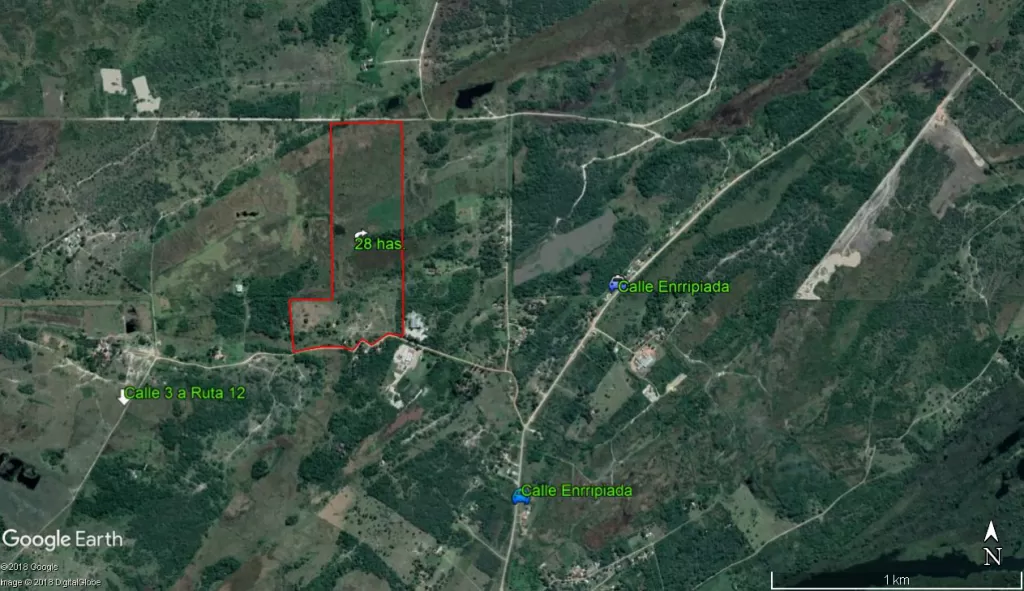 Vendo 28.6 hectárea sobre calle 3 asfaltada a 1.300 mts de la Ruta 12 hacia Puerto Elsa — foto 3