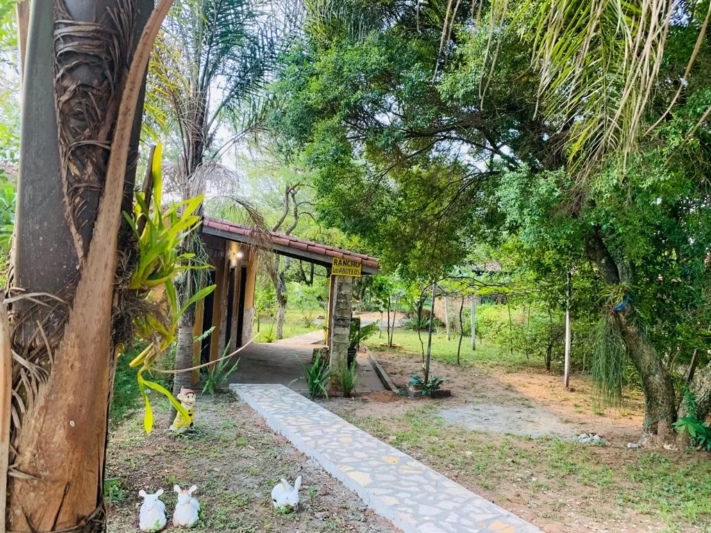 UBICACIÓN PRIVILEGIADA EN ALTOS — foto 3