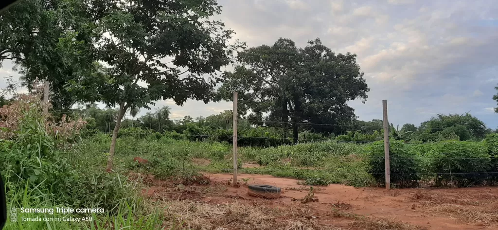 OFERTA DE TERRENO — foto 3