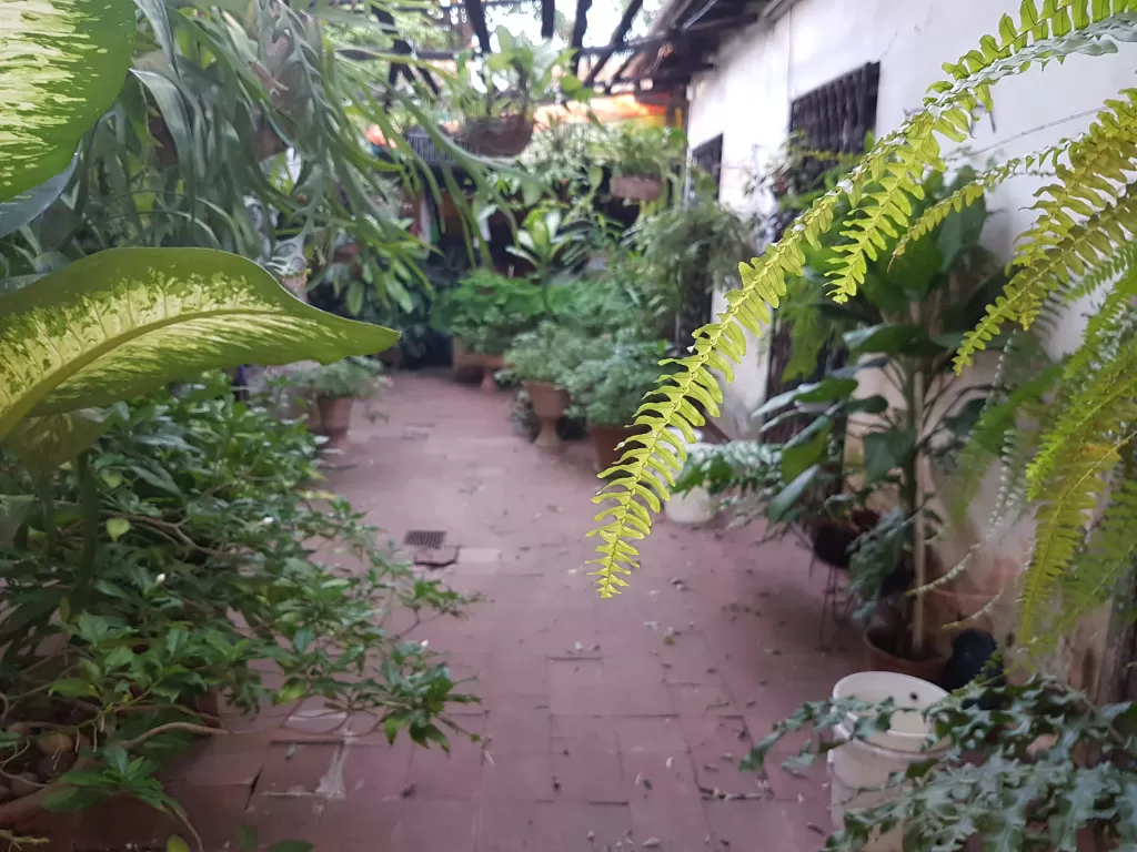 VENDO CASA ANTIGUA SOBRE 25 DE MAYO CON EXCELENTE UBICACION PARA EDIFICIO — foto 3