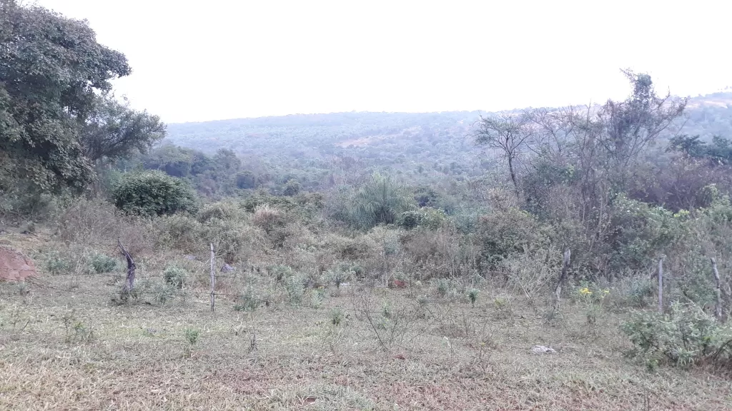 Vendo 6.5 Hectáreas en Emboscada-Cordillera — foto 3