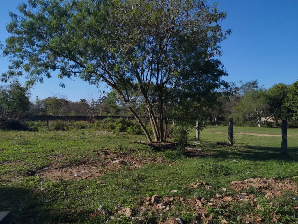 Vendo terreno en Luque — foto 2