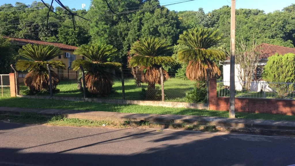 Vendo terreno en la ciudad de Paraguari — foto 3