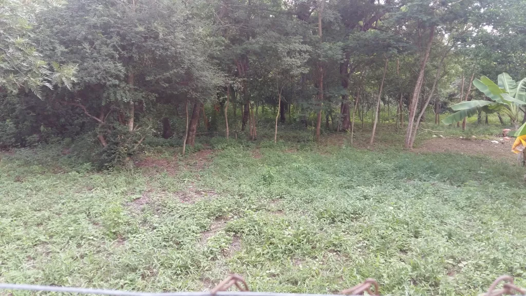 Vendo hermoso terreno en Limpio! — foto 2
