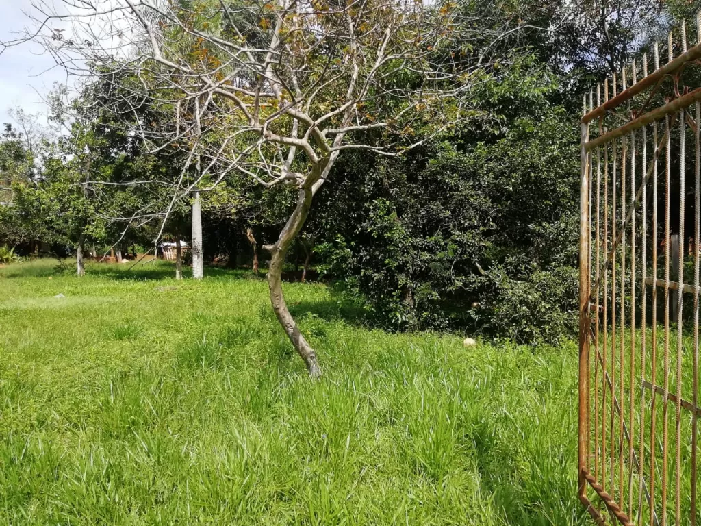 Regalo Terreno zona rotonda ruta 1 y acceso sur ITA — foto 2