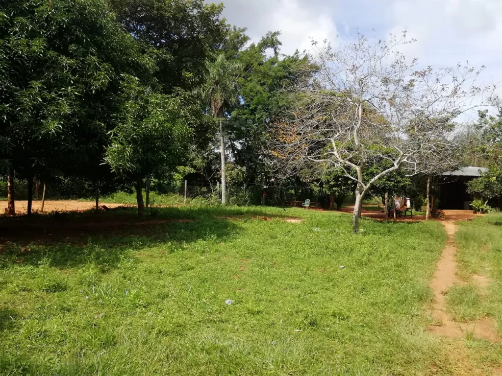 Regalo Terreno zona rotonda ruta 1 y acceso sur ITA — foto 3