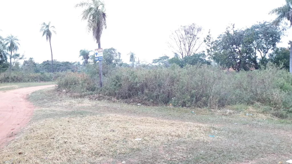 Anuncio 1555908 — foto 2