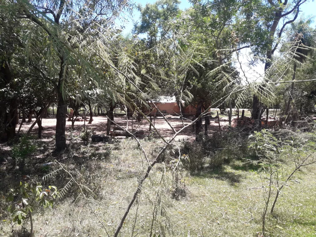 OFERTA TERRENO EN PARAGUARI DE 3.5 HECTARES EN KM 64, SOBRE RUTA — foto 2