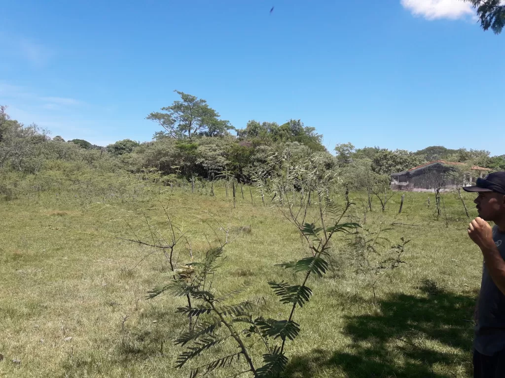 OFERTA TERRENO EN PARAGUARI DE 3.5 HECTARES EN KM 64, SOBRE RUTA — foto 3