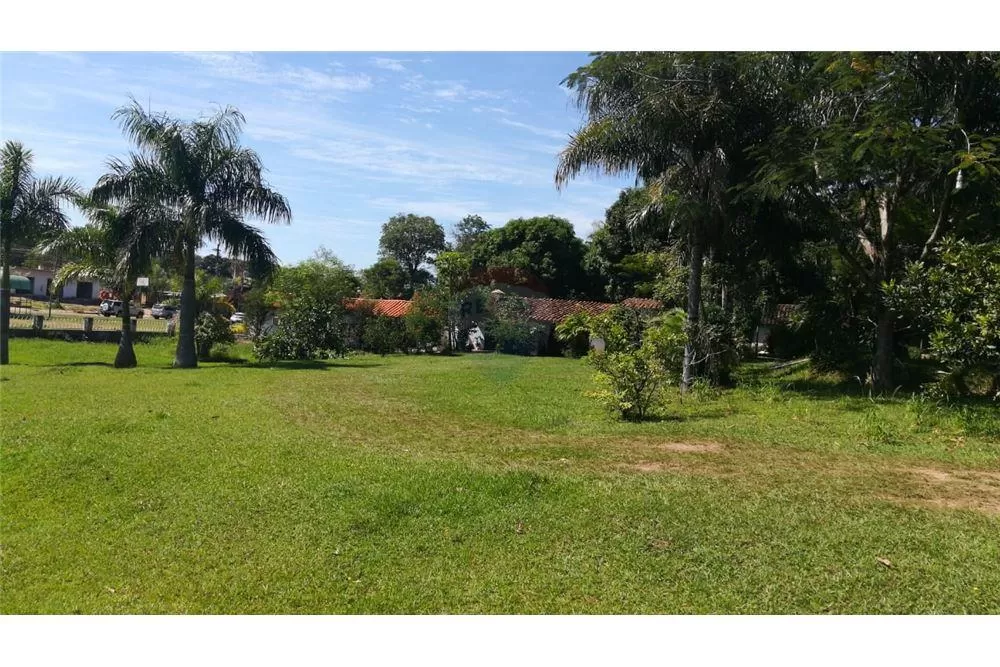 20 terrenos juntos en Luque — foto 3
