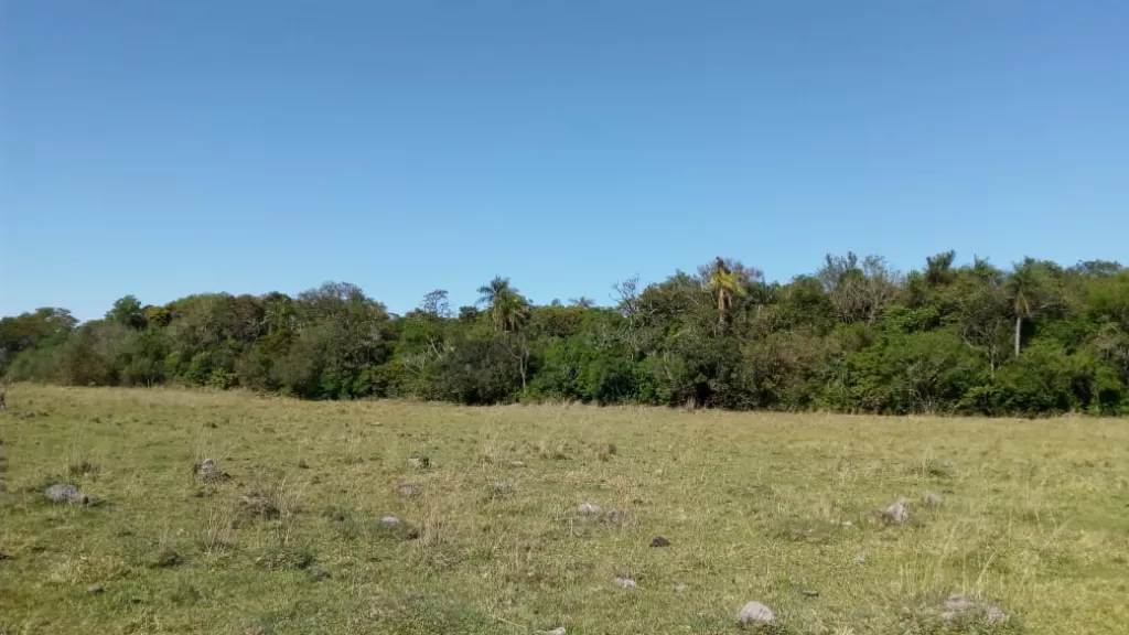VENDO HERMOSA PROPIEDAD EN PARAGUARI SOBRE RUTA 1 ESPECIAL PARA CASA QUINTA O GRANJA — foto 2