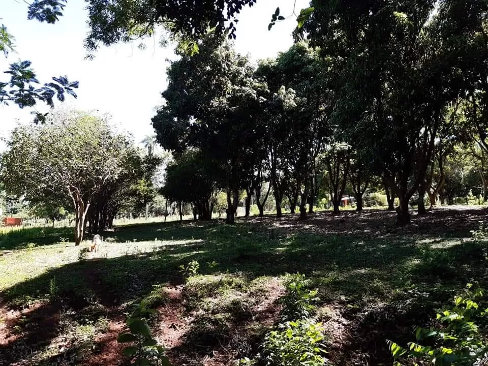 Hermosa propiedad en atyra!!! — foto 3