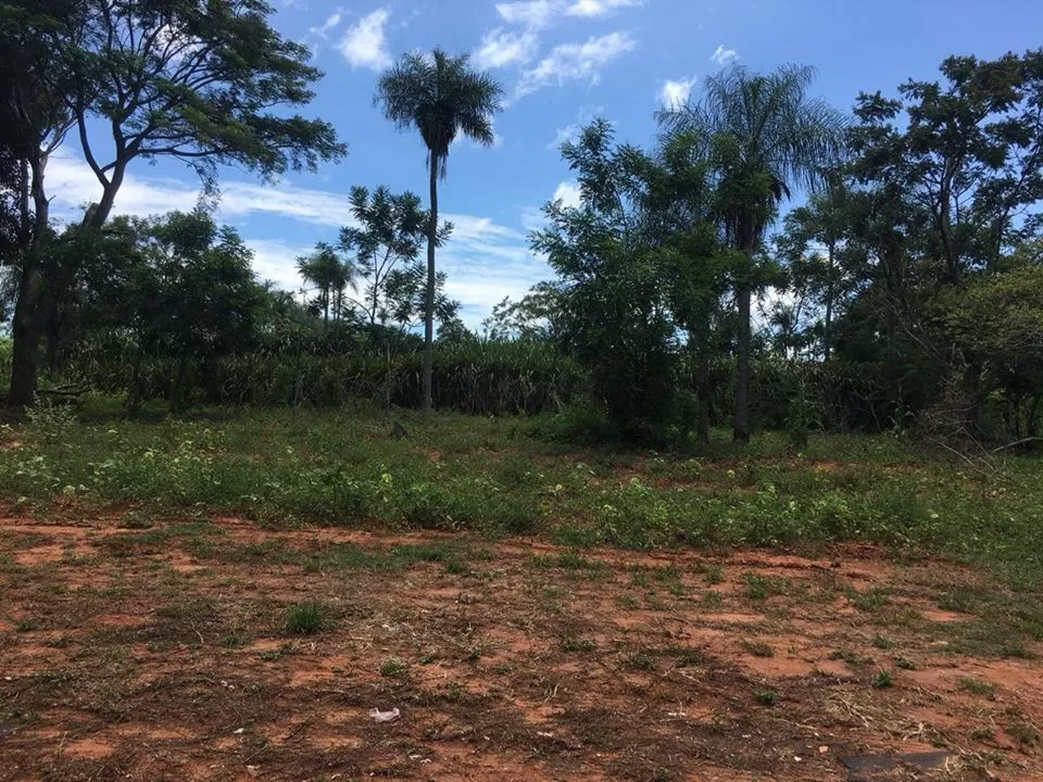 VENDO PROPIEDAD DE 2 HECTAREAS 6,852 metros EN ITAUGUA COD 2698 — foto 3