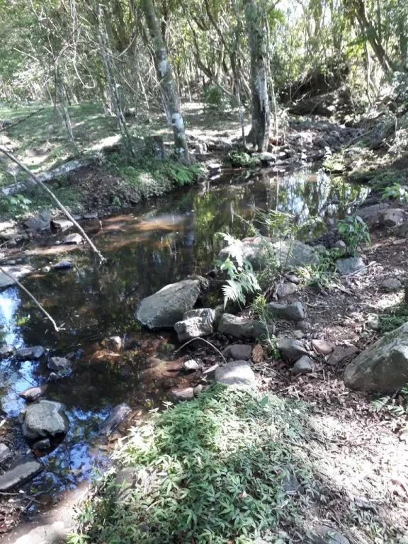 VENDO EN DPTO. PARAGUARI EN SAPUCAI HERMOSA PROPIEDAD DE 28 HAS. — foto 2