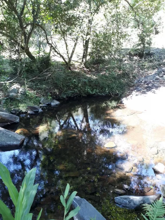 VENDO EN DPTO. PARAGUARI EN SAPUCAI HERMOSA PROPIEDAD DE 28 HAS. — foto 3