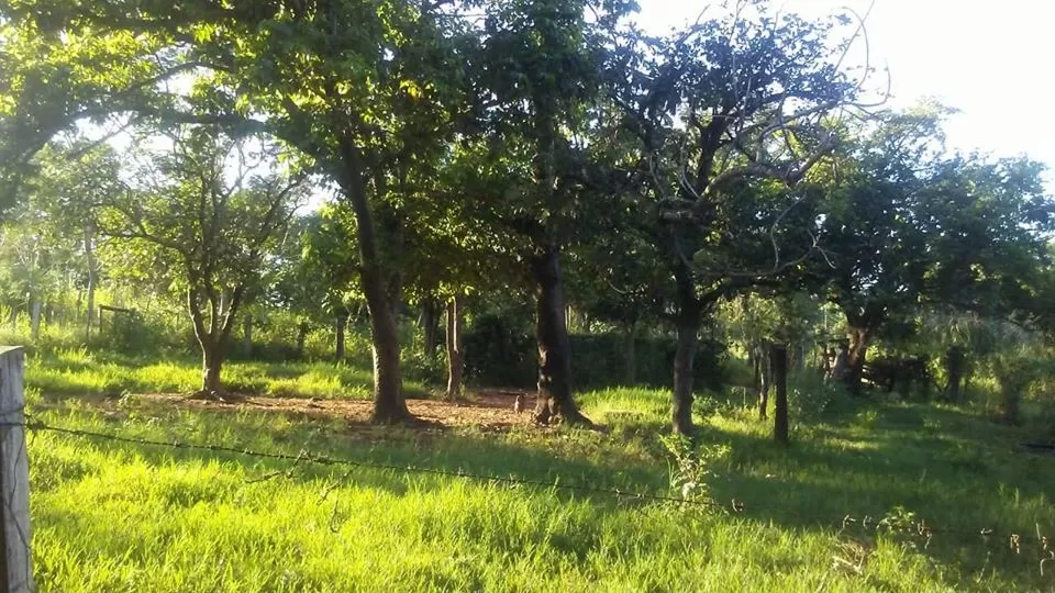 Venta de terreno en San Pedro De Ycuamandiyú — foto 2
