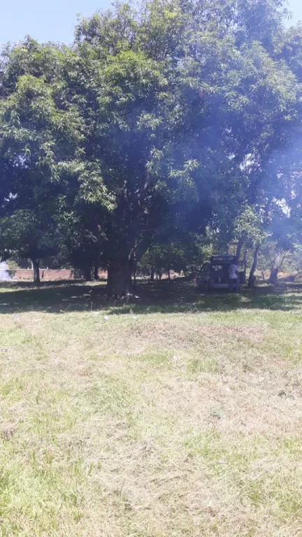 Terreno en Guarambaré — foto 3