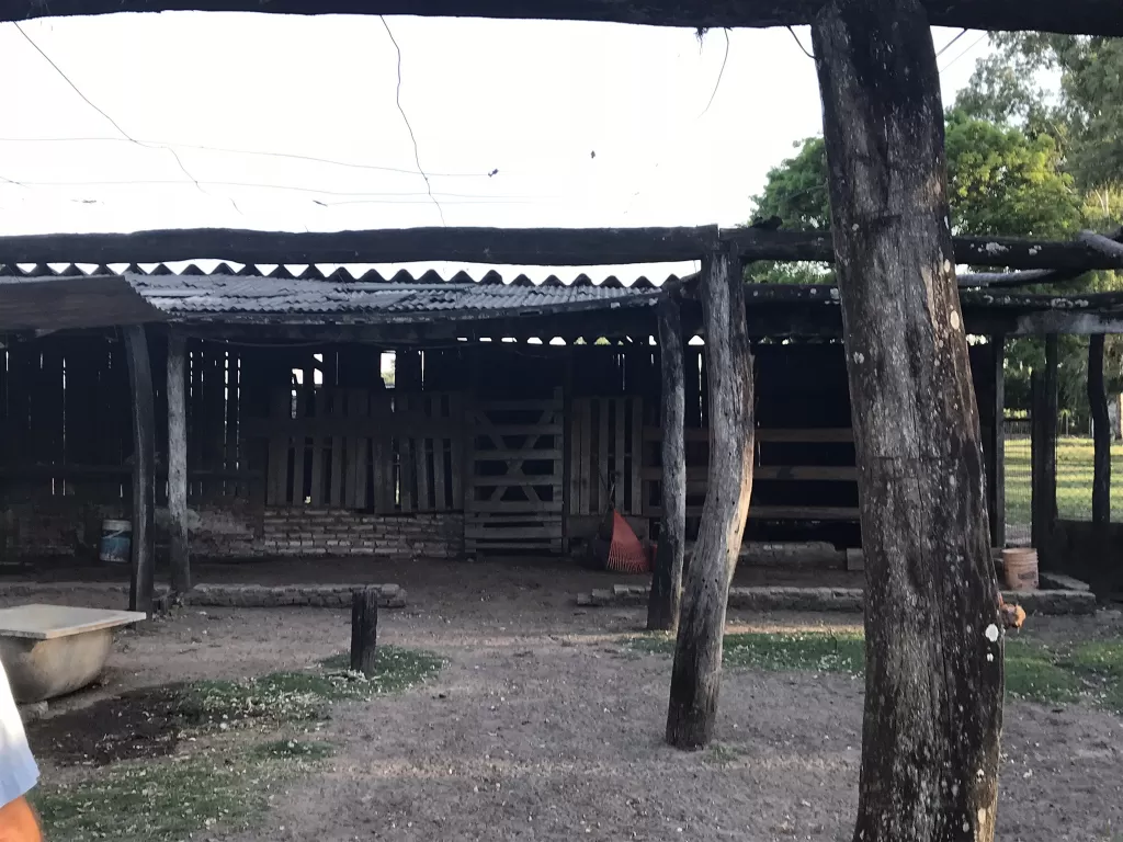 Hermoso CampoEstancia en Yaguaron Paraguari — foto 3