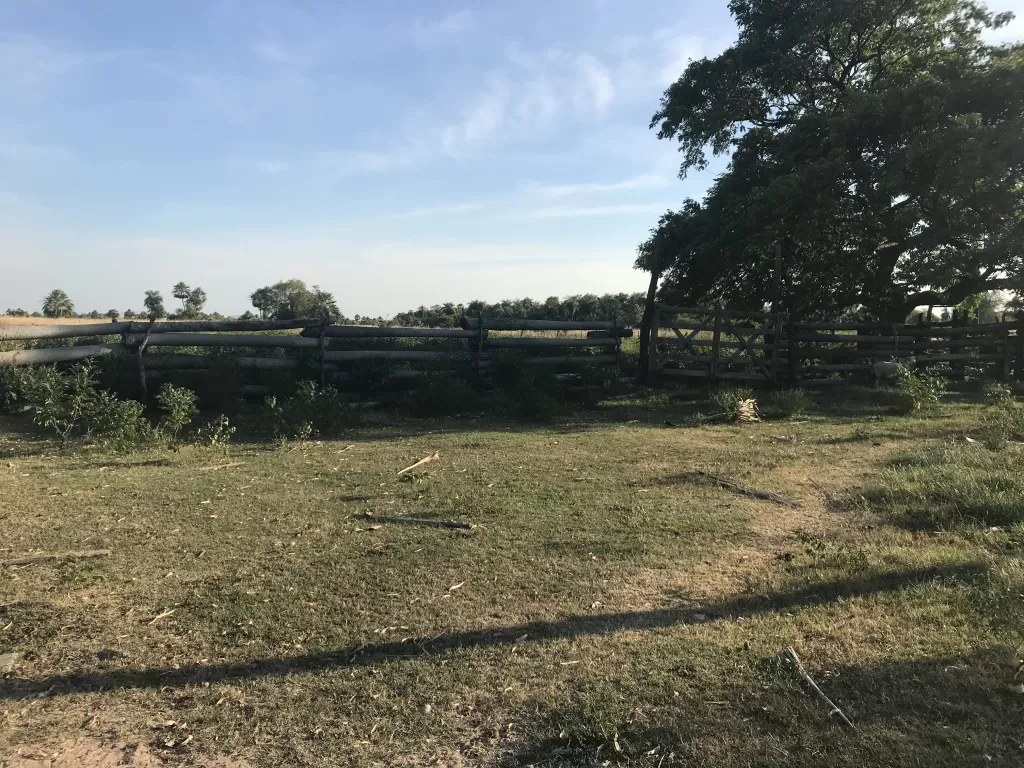 Hermoso CampoEstancia en Yaguaron Paraguari — foto 2