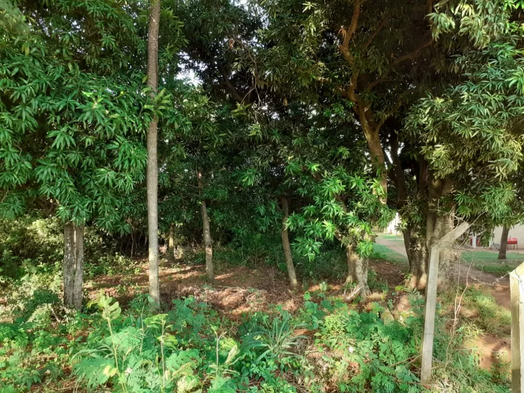 Vendo Terreno en Limpio ubicado en esquina superficie 1080 m2 — foto 2